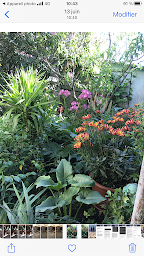 Photo n°43 de Villa Violette à Pessac (Hôtel)