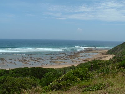 Photos of Hippos Rest