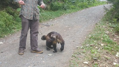 The Kroschel Wildlife Center