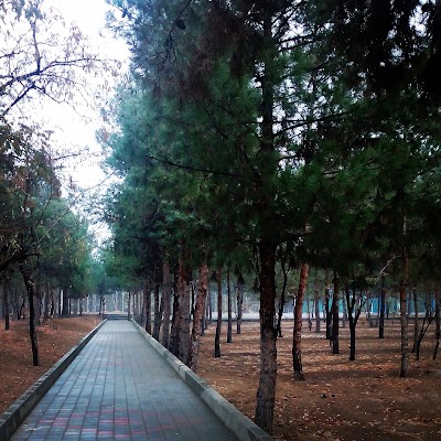 Photos of Park-e-Golriz