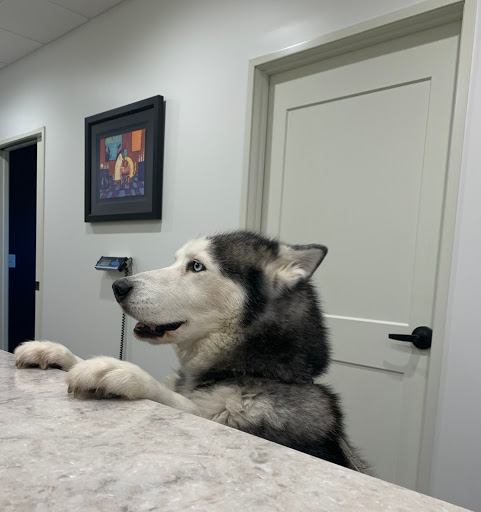 Lakewood Veterinary Center - Thumbnail