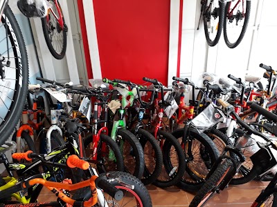 Bicycle Store