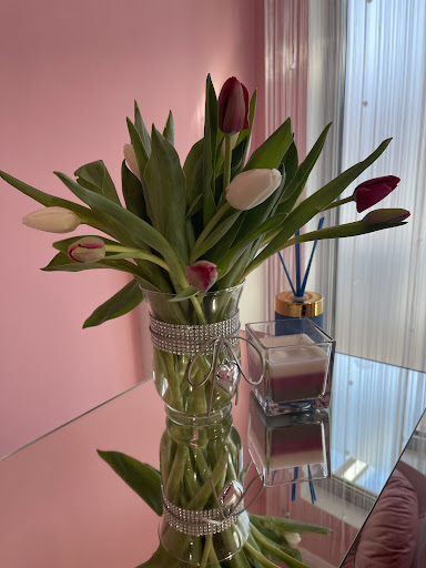 THE CANDY BEAUTY STUDIO