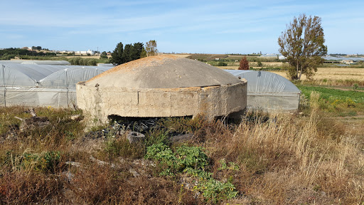 Bunker Scibini - Visual