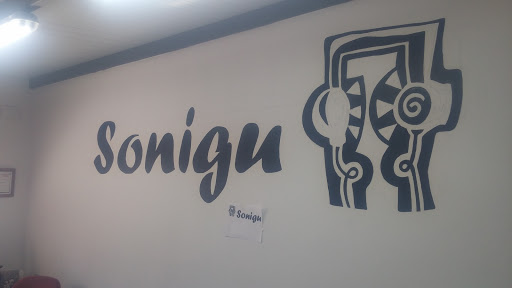 Sonigu - Visual