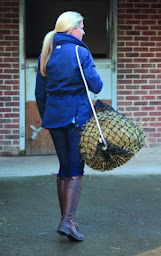 Photo n°11 de Le Palais des Chevaux à Chis (Magasin de matériel d'équitation)