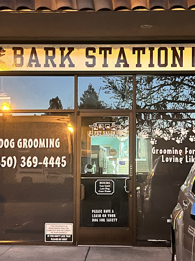 Bark station II - Thumbnail