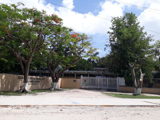 Escuela Secundaria General 15 "Luis Alvarez Barret"