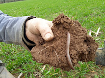 Association GEDA 35 à Rennes