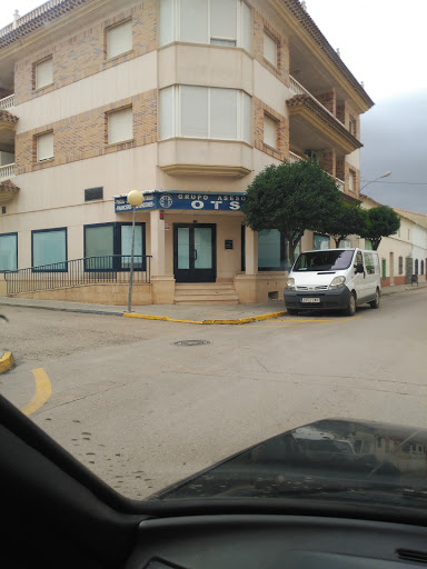 Grupo Asesor Ots
