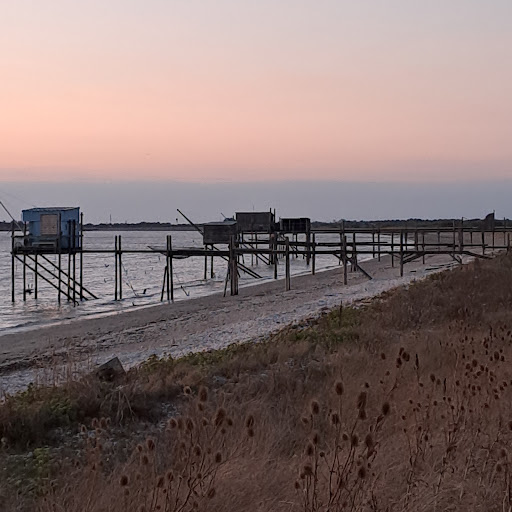 Plage et reserve ornithologique - Thumbnail