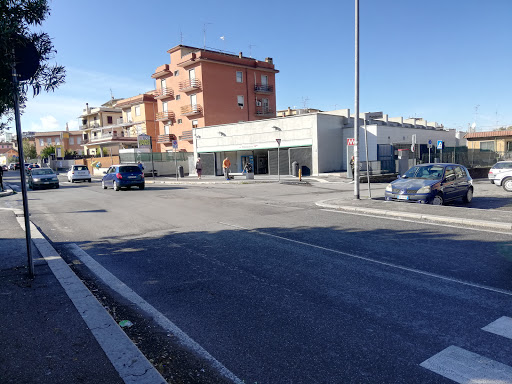 Finocchio - Visual