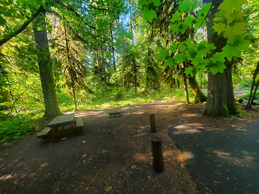 Paradise Creek - Thumbnail