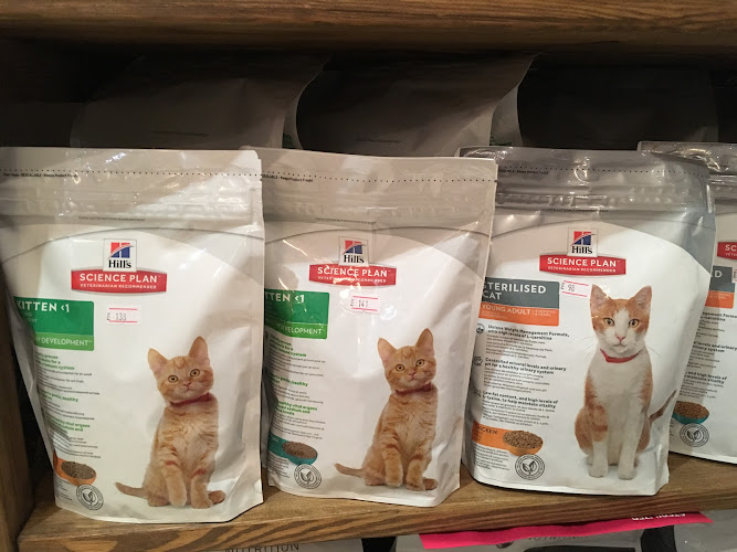 Зоомагазин Dambo. Корми і товари для тварин!