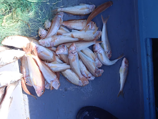 Pescaturismo Lisca - Thumbnail