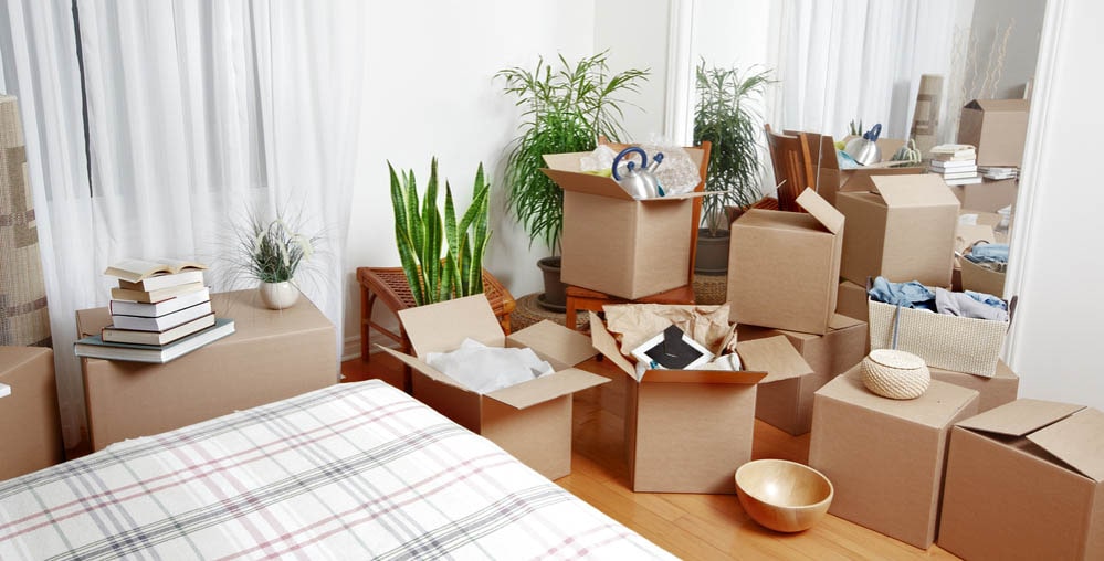 Best Local Movers in Boston Massachusetts