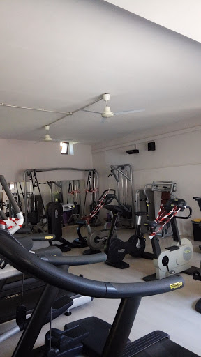 Palestra Olympia Snc