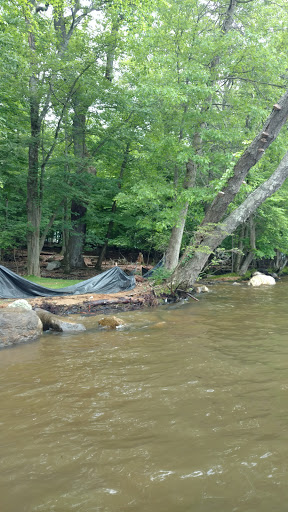 Minisink Park - Thumbnail