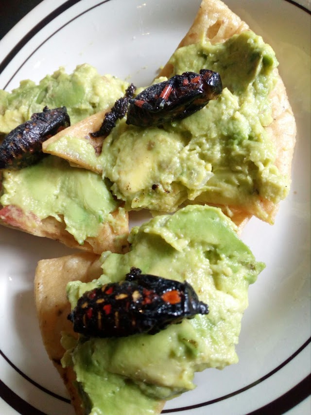 La Casa de los Tacos