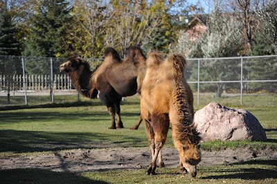 Red River Zoo