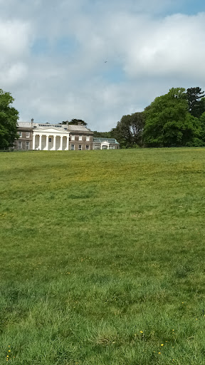 Trelissick - Visual