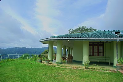 Photos of The Tea Estate