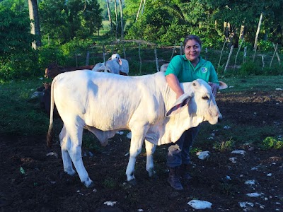 Photos of Finca "Los Amates"