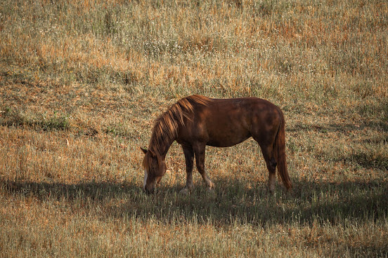 I Sette Coni by null