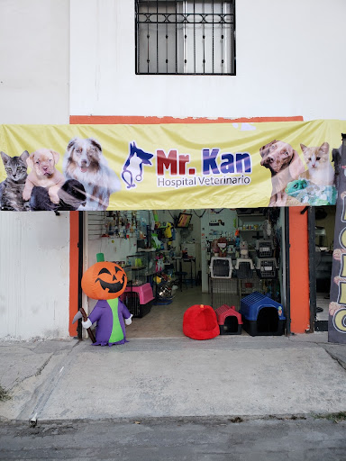 Mr.Kan - Visual