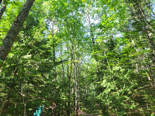 Stronach Park - Thumbnail