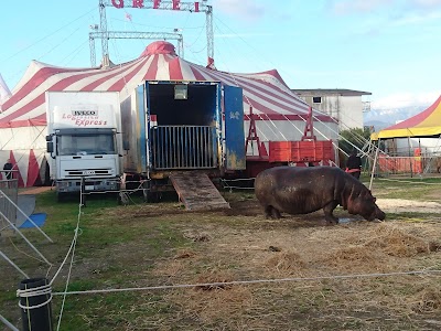 Ambulatorio Veterinario Dott. Luca Soviero