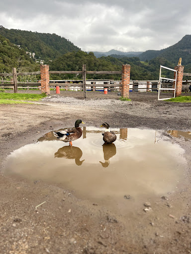 Rancho Chichicaspa - Thumbnail