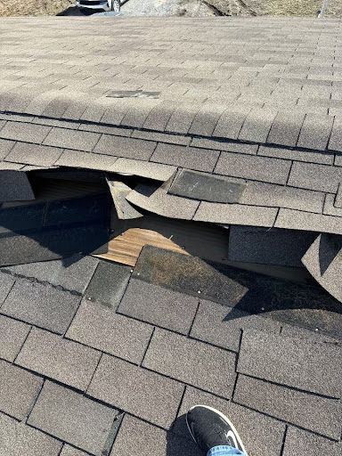 Solid Roofing - Visual