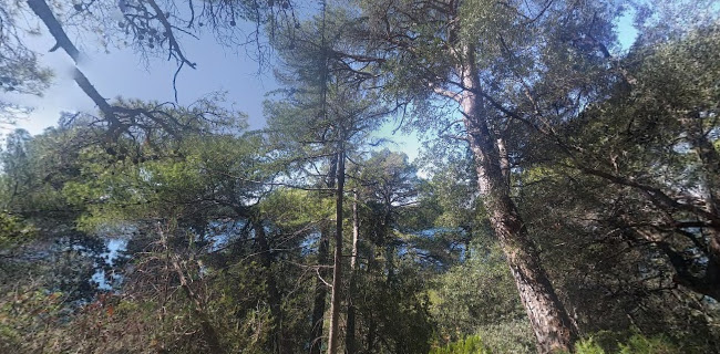 Park-šuma Komrčar - Muzej