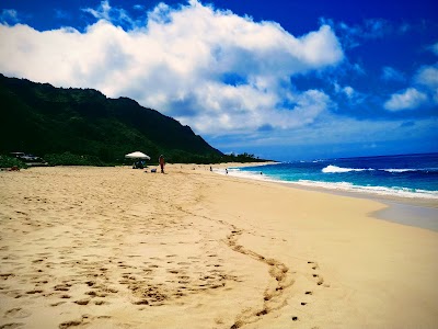 Mokulēʻia Forest Reserve