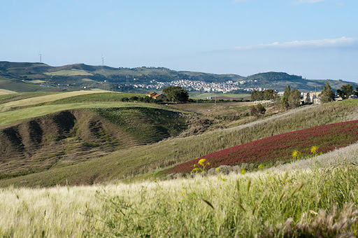 Valdibella Cooperativa Agricola