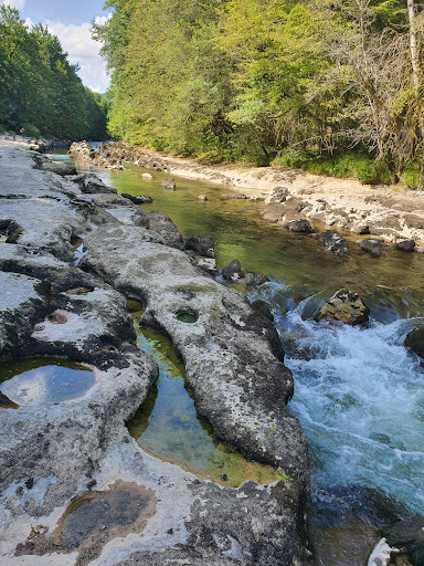 Le long de la rivière