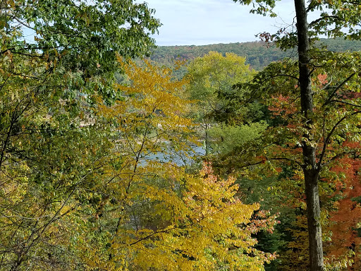 Deep Creek Lake Real Estate - Thumbnail