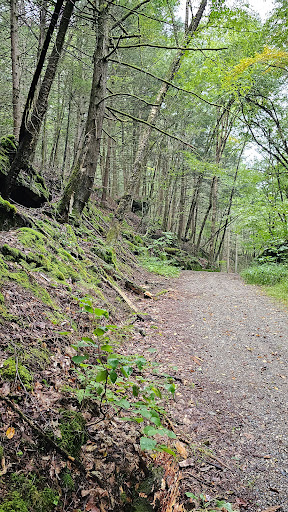 Rattlesnake Gutter Conservation Area Trail Head - Thumbnail