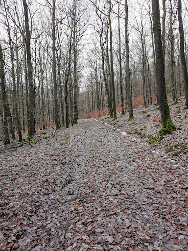 Brommelsäche - Visual