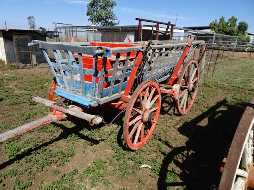 Bundaberg Auctions Australia Wide - Matt Beer - Thumbnail