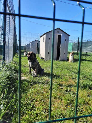 Photo de Dogs and Cats Lodges - Pension canine et féline à Saint-Épain (37800)