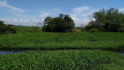 Photos of Ci&eacute;naga Cachimbero