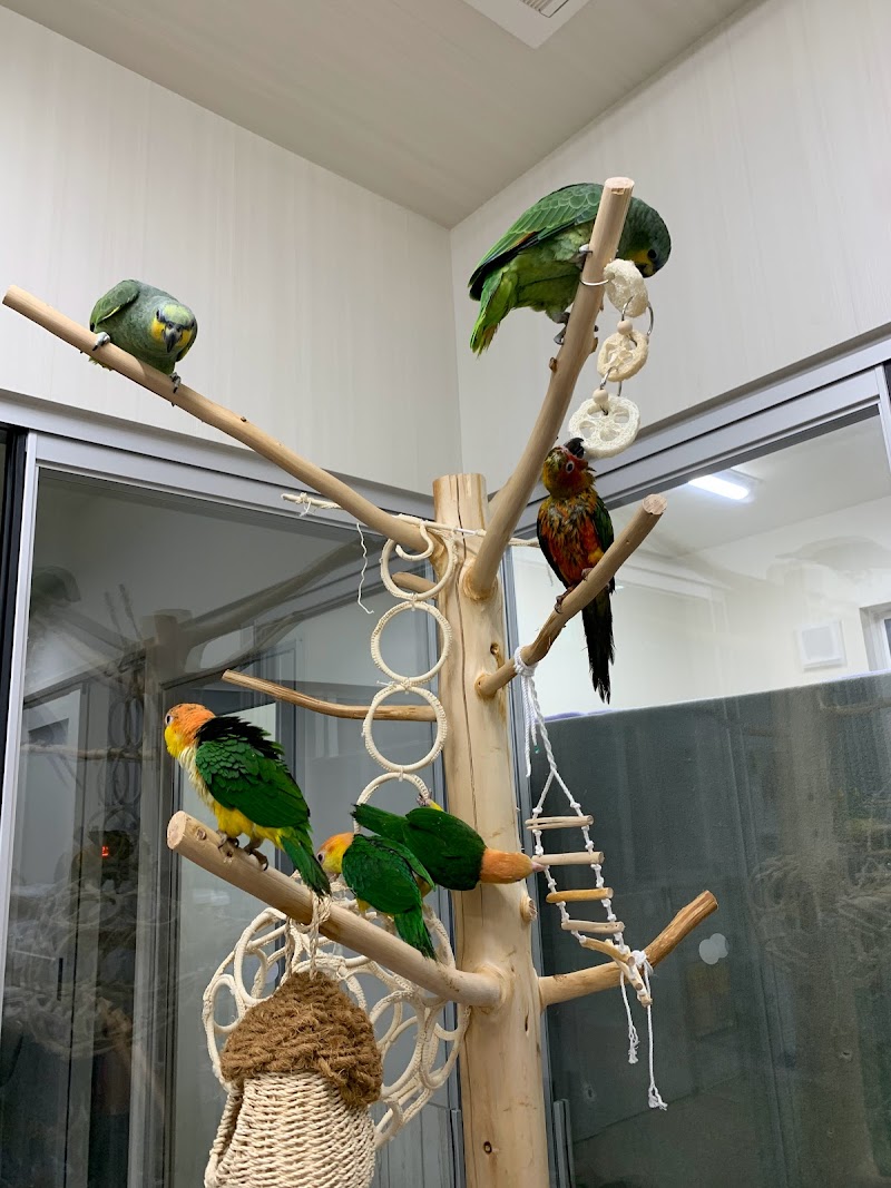 フラップ・バード