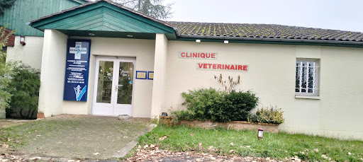 Veterinary Clinic Alienor - Thumbnail