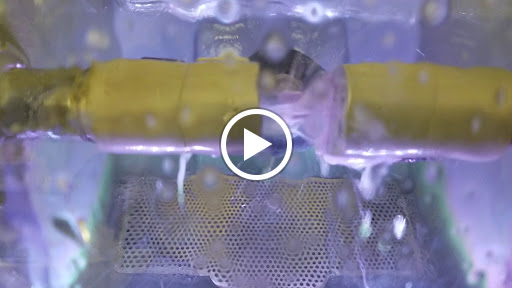 Key West Dental Associates - Thumbnail