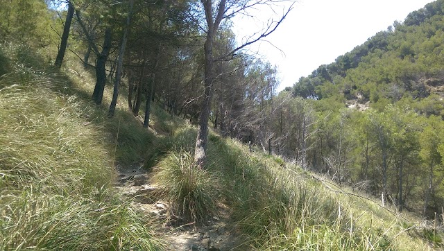 Platja des Coll Baix