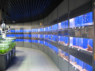 Photo n°7 de Zoo Passion à Gap (Toiletteur)