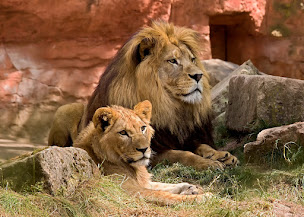 Photo n°17 de AQUATOUR VOYAGES - Agence de voyages à Lille à Lille (Agence de voyages)