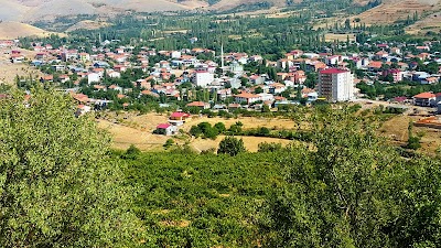 Doğanşehir